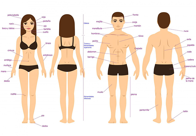 Características físicas e de personalidade das pessoas