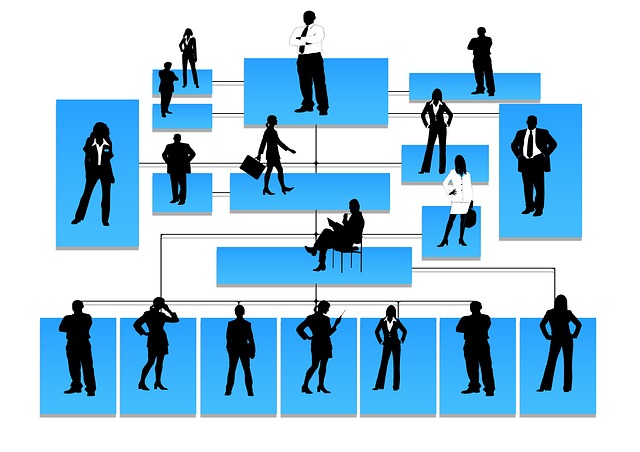 Empresas – Objetivos e Níveis Hierárquicos