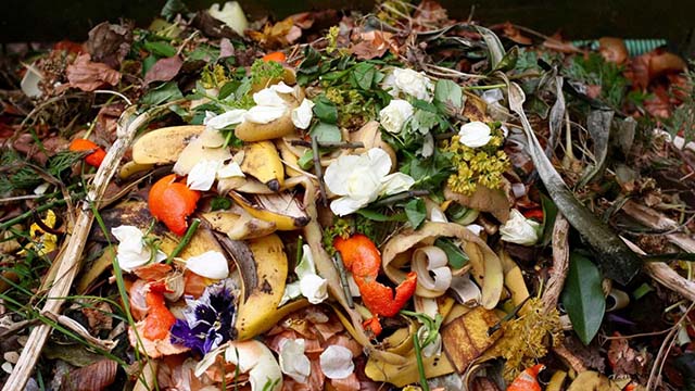 Resíduos sólidos urbanos: resíduos alimentares