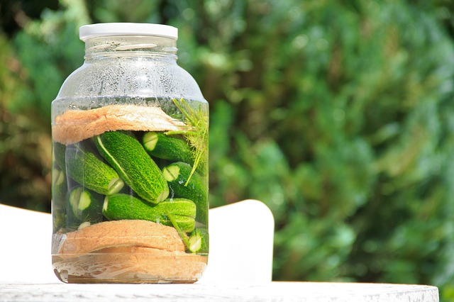 Vegetarianismo e meio ambiente