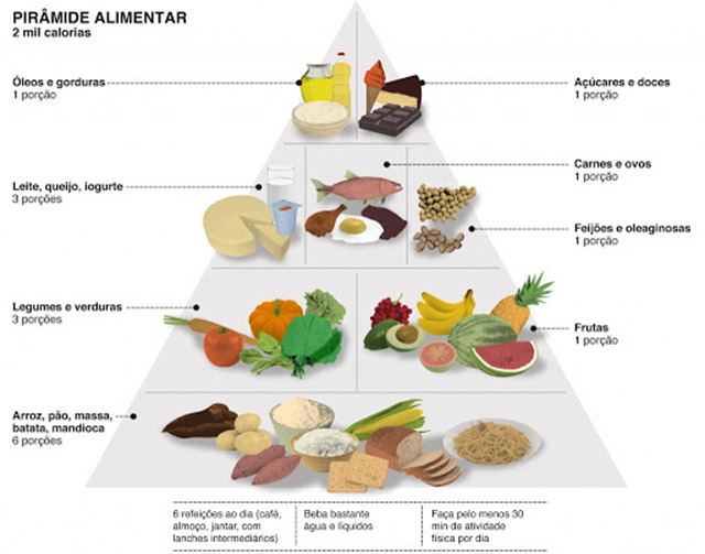 Pirâmide alimentar: sais minerais e carboidratos