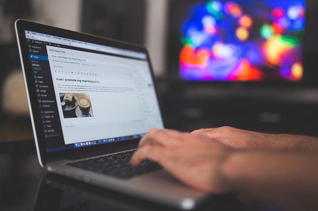 Painel WordPress e Posts