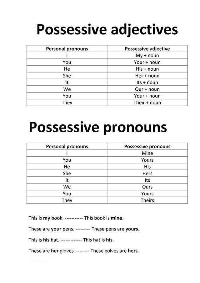 Possessive Adjective Pronouns