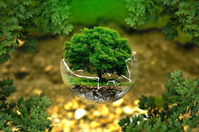 Curso De Educação Ambiental