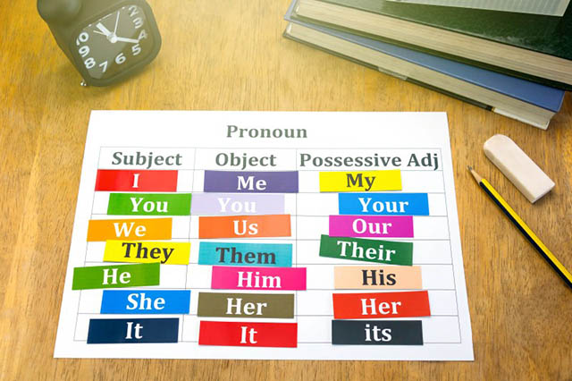 Os pronomes possessivos