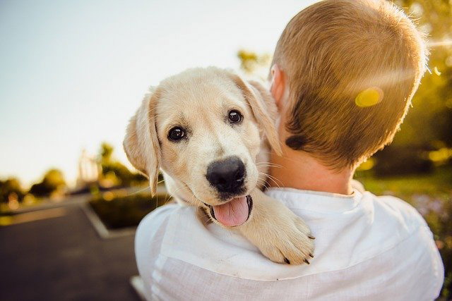 Amor incondicional