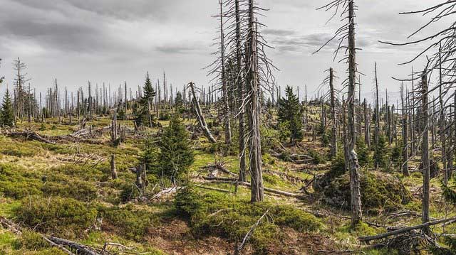 A Degradação Ambiental pelo Fator Antrópico
