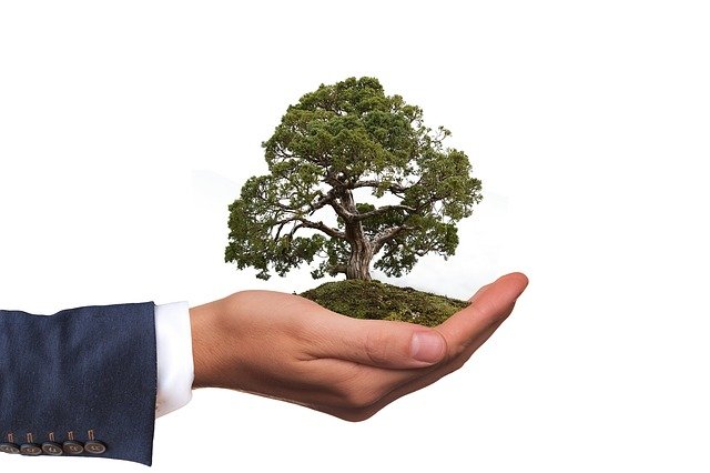 Fundamentos Básicos da Gestão Ambiental