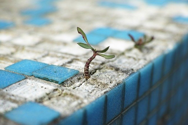 Roteiro para um Sistema de Gestão Ambiental