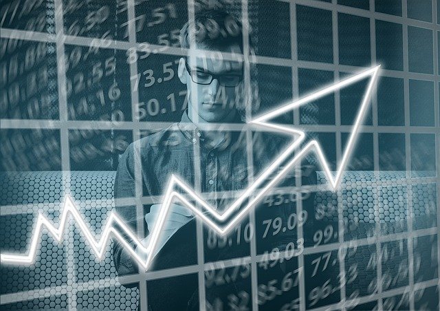 Organização da Atividade Econômica