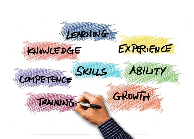 Por que é importante fazer treinamentos internos na minha empresa?