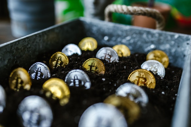 Carteiras de criptomoedas: como mantê-las seguras?