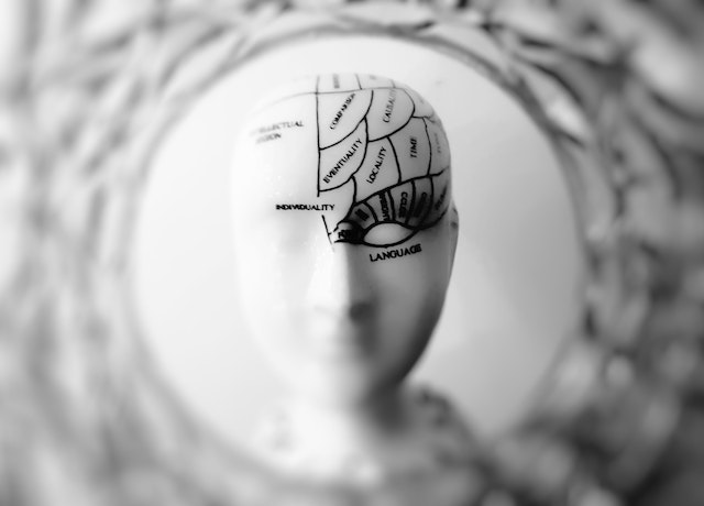 Neurovendas: 4 princípios que ajudarão você a fechar mais negócios