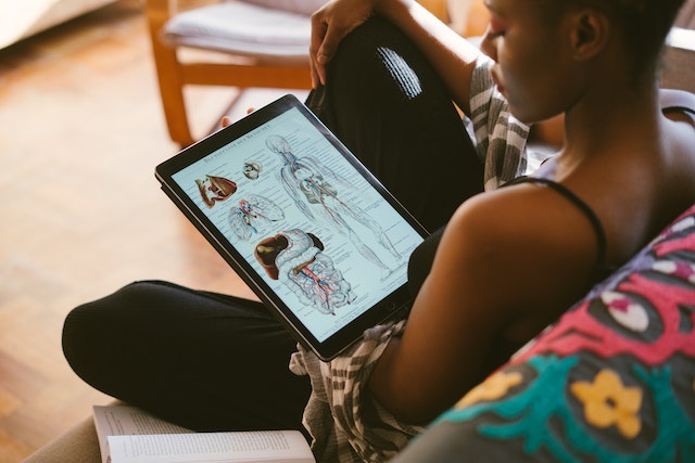 Descubra como estudar para concursos