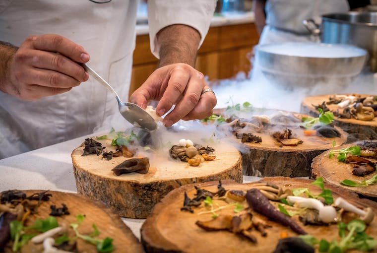 o que é curso de gastronomia